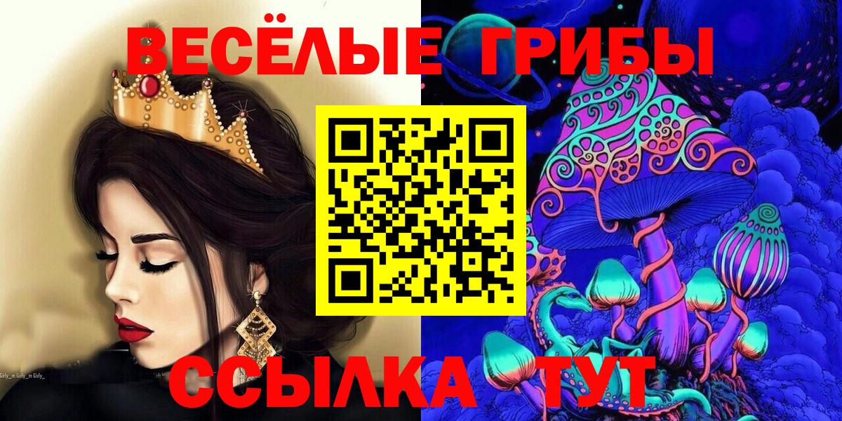 Псилоцибиновые грибы ЛСД  Вход с VPN  Черногорск  Псилоцибиновые грибы прущие грибы 