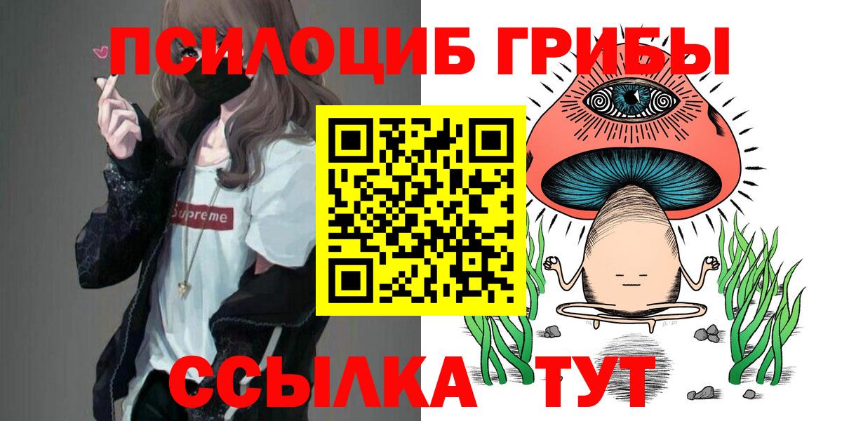 Галлюциногенные грибы Psilocybine cubensis Черногорск